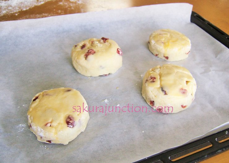 Cranberry Scone egg washed