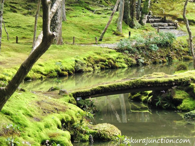 Bridge in Moss Temple