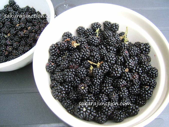 Blackberries