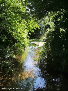 River Cray
