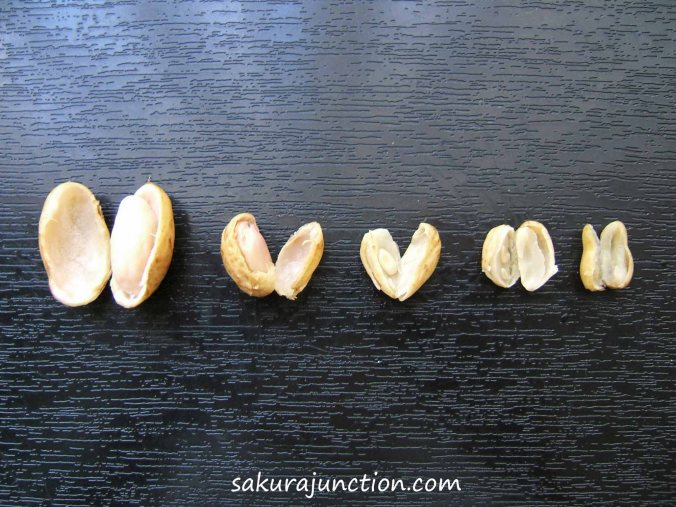 Peanuts from big to tiny