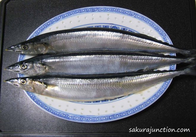 Sanma on plate