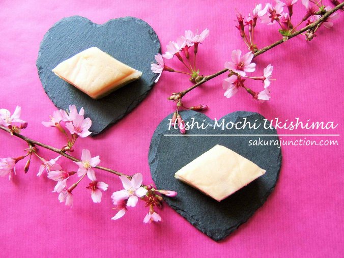 Hishi-Mochi Ukishima SJ top