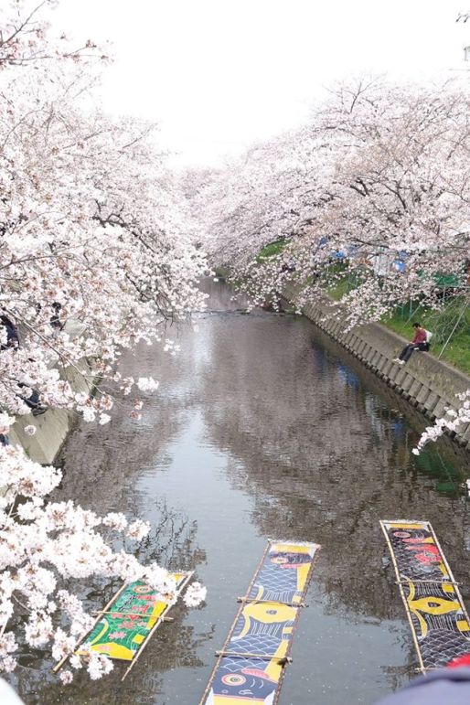 12898347_609244109232679_4693467985244914296_o