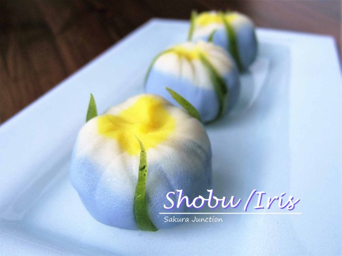 Shobu front right.jpg