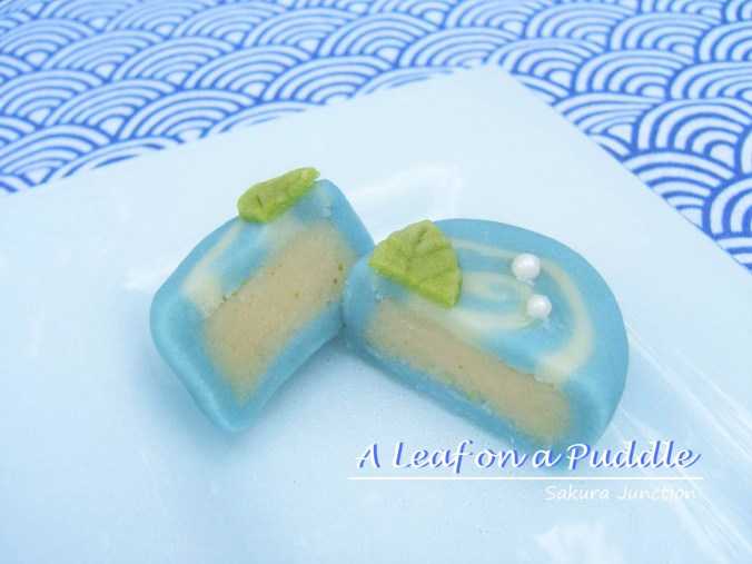 A Leaf on a Puddle cut 2