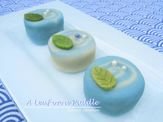 A Leaf on a Puddle Left 2