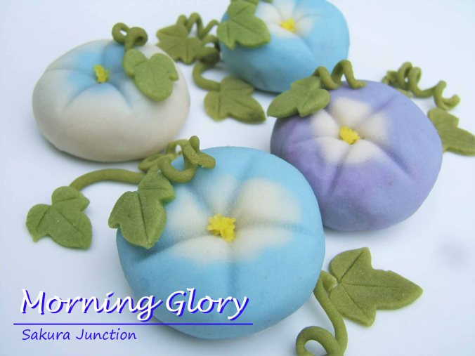 Morning Glory blue &amp; purple