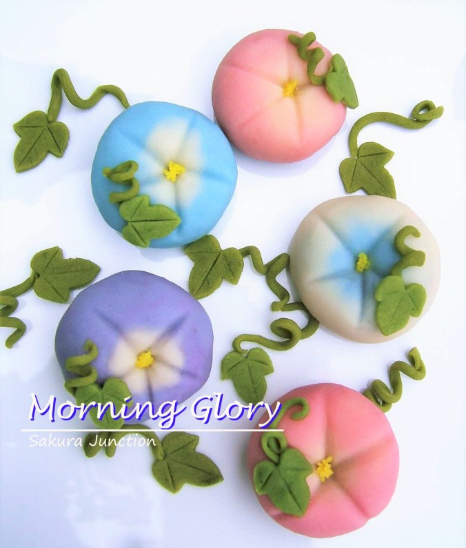 Morning Glory top