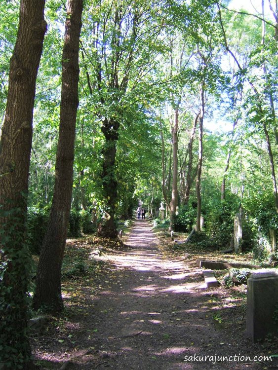 Path in Cemetery