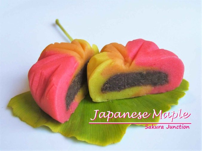 japanese-maple-halved