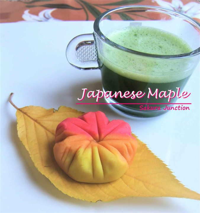 japanese-maple-with-tea