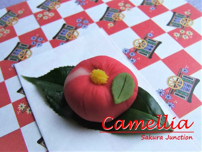 camellia-1-2