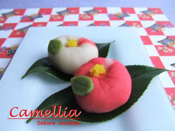 camellia-2