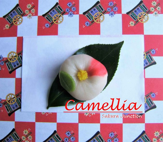 camellia-white