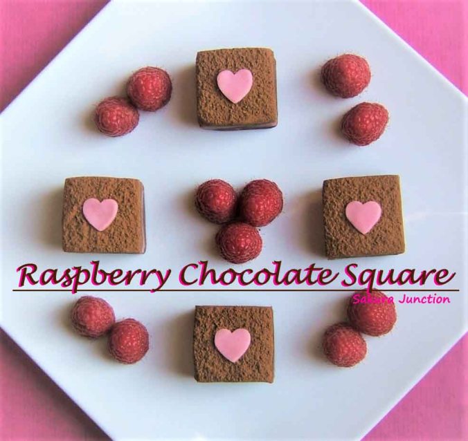 raspberry-chocolate-sq-top