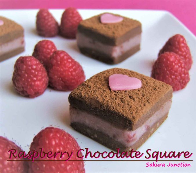 raspberry-chocolate-square-side