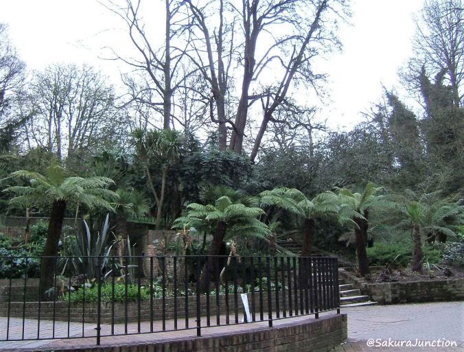 Holland Park3