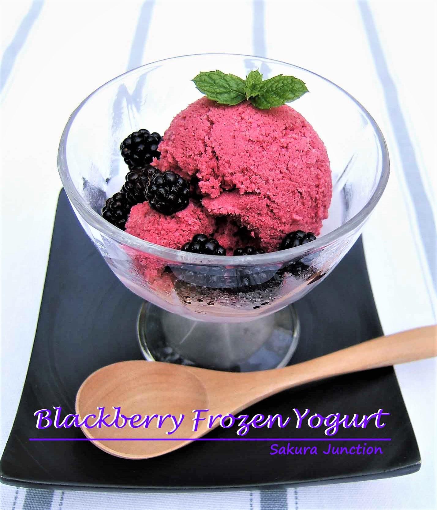 Blackberry Froze Yogurt1p