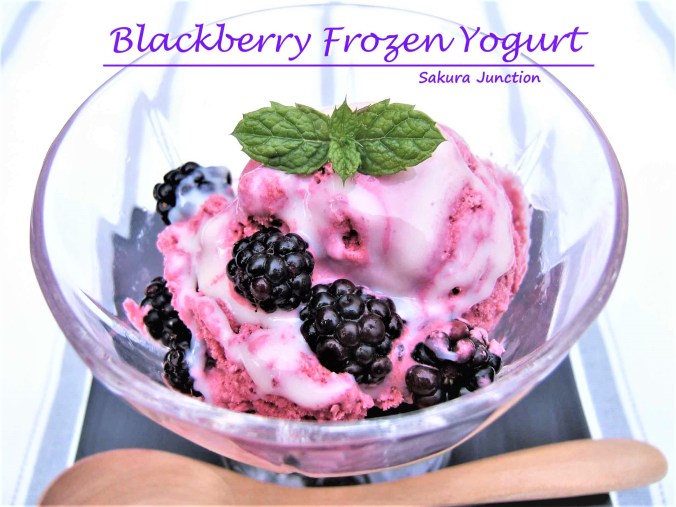 Blackberry Froze Yogurt4p