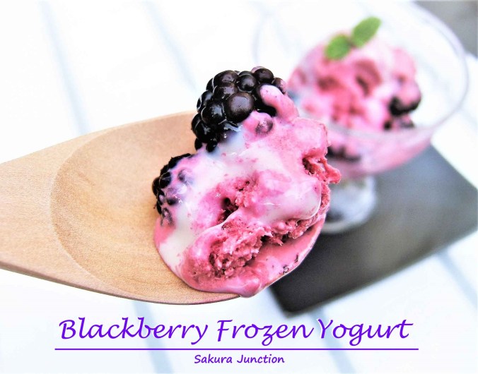 Blackberry Froze Yogurt6p