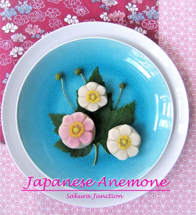 Japanese Anemone2p