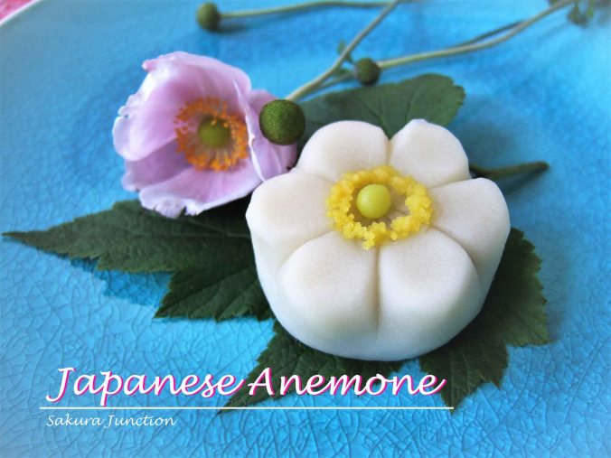Japanese Anemone3