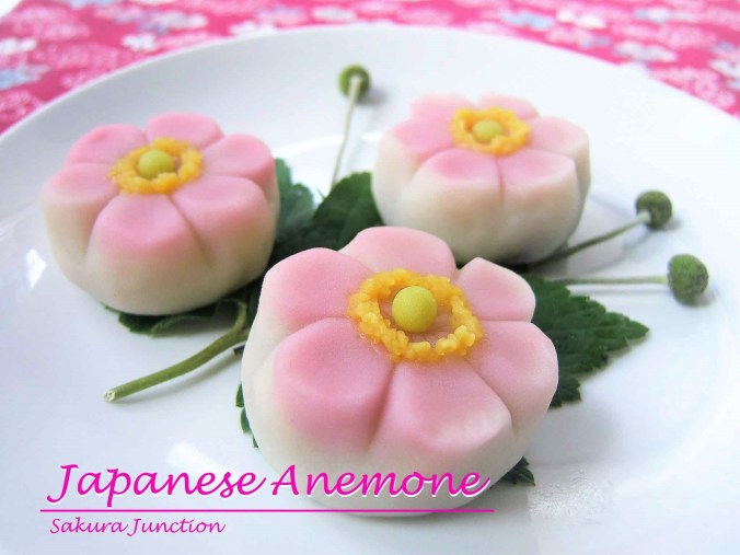 Japanese Anemone4p