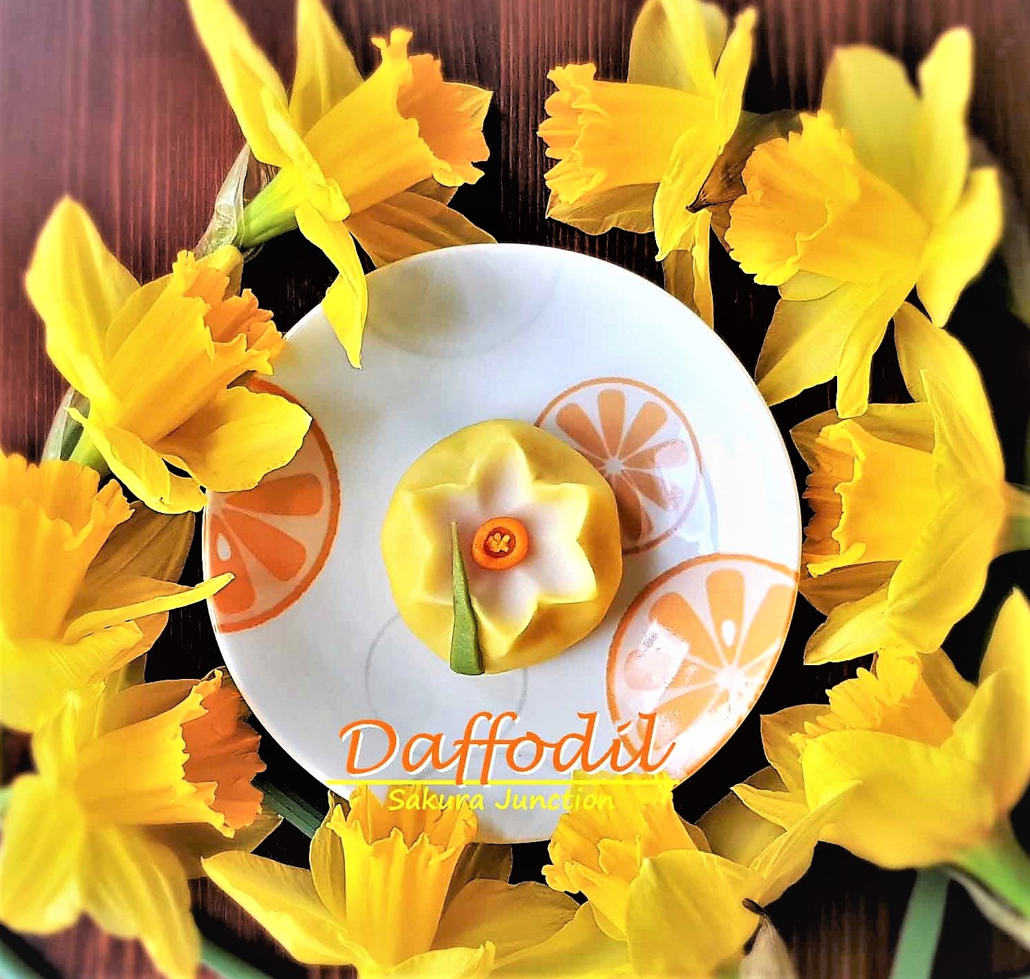Daffodil 11-3