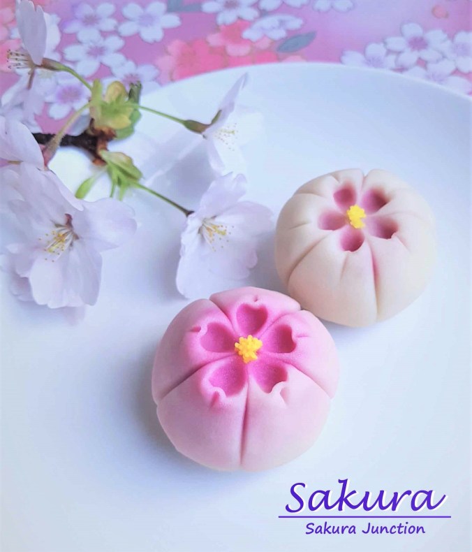 Sakura 1