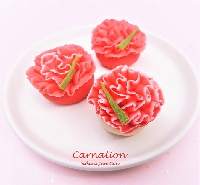 Carnation 7-2