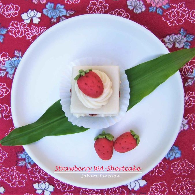 Wa shortcake4