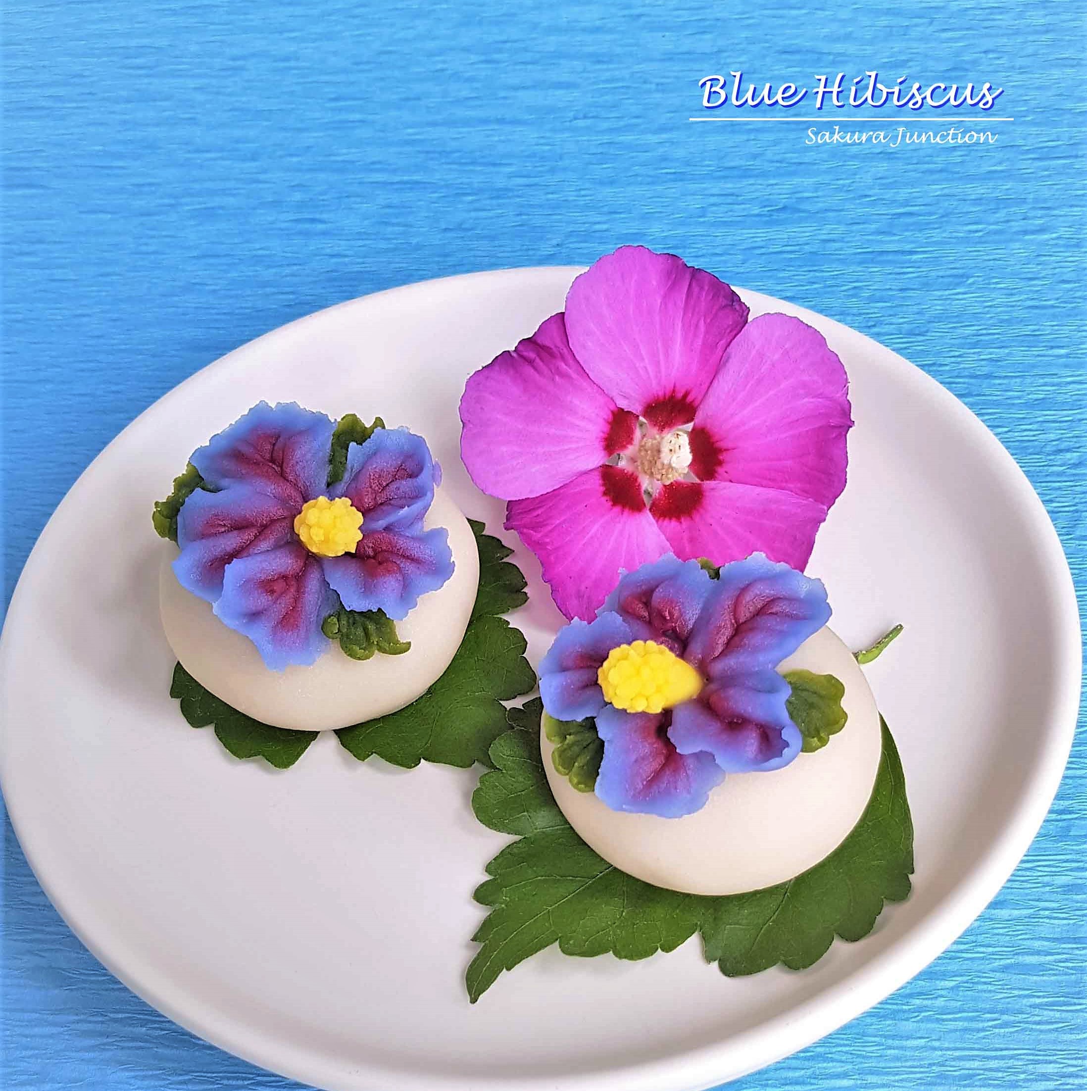 Blue Hibiscus2