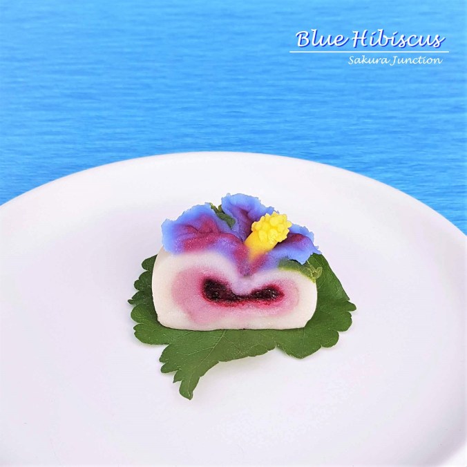 Blue Hibiscus8