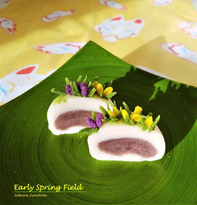 Spring Field Crocus 3