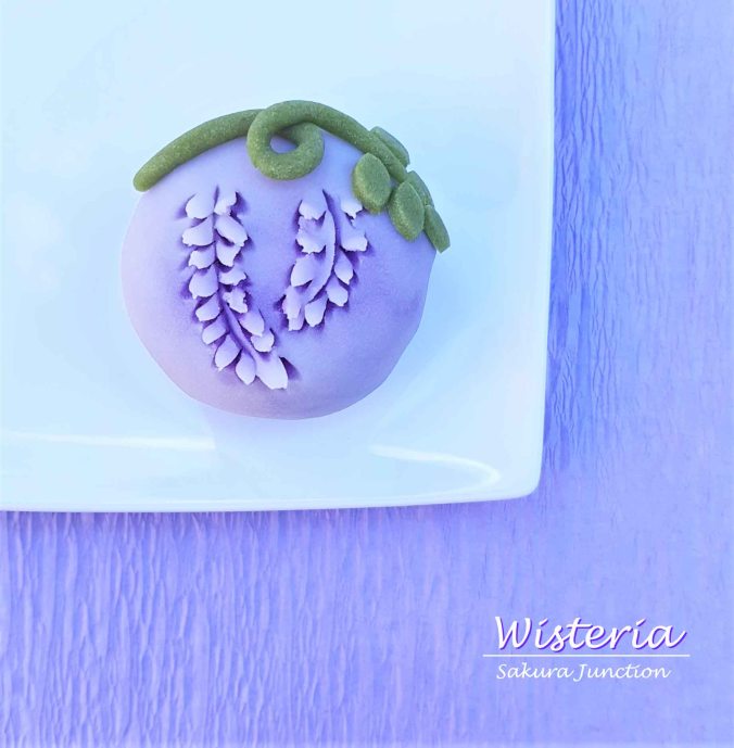 Wisteria2