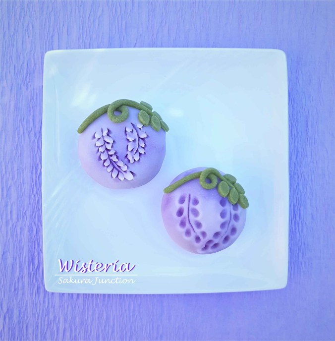 Wisteria4