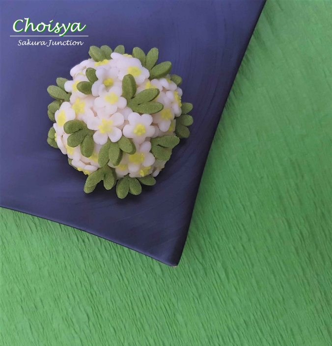 Choisya1