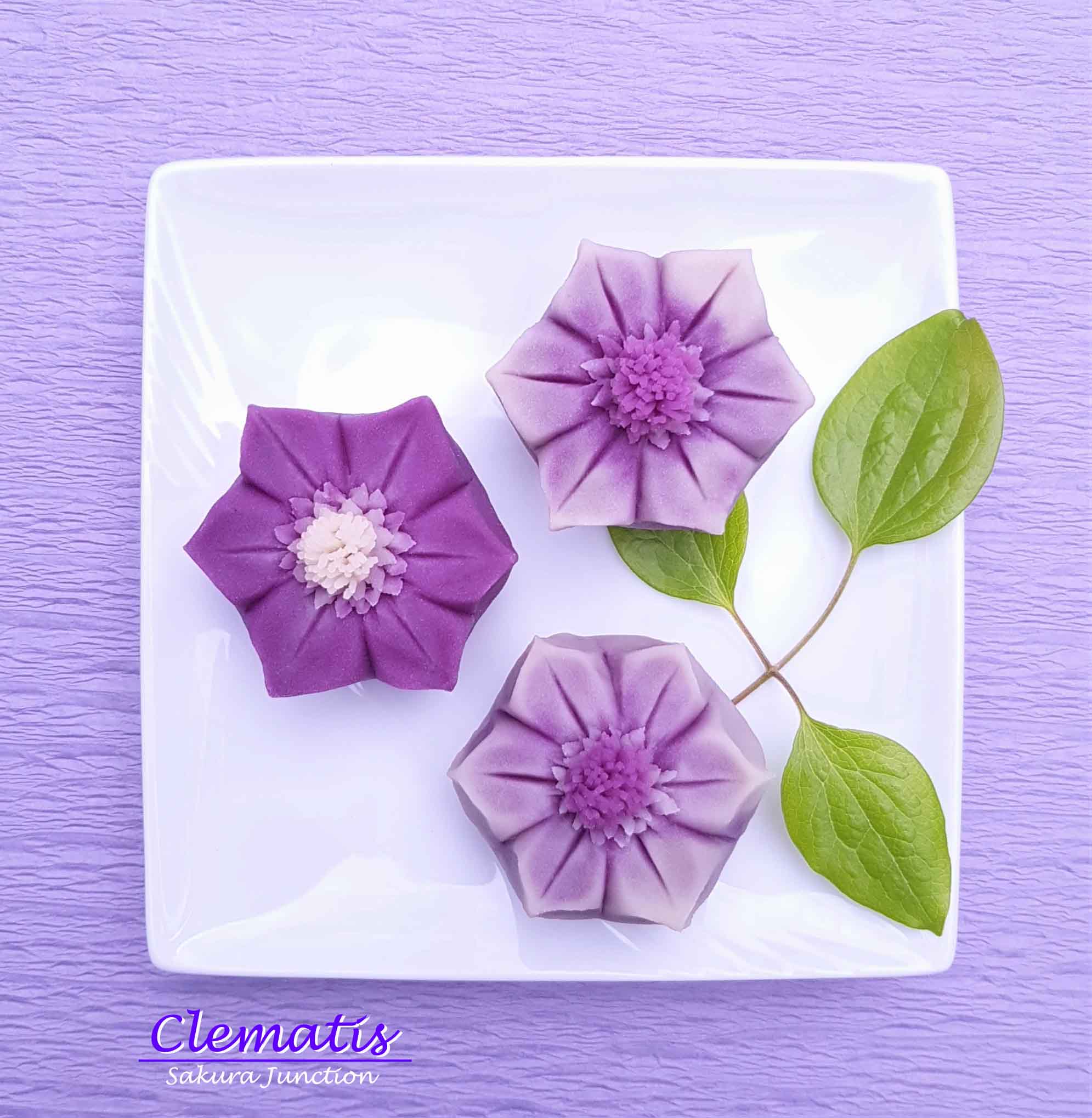 Clematis 19-4