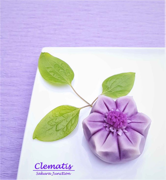Clematis 19-8
