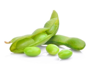 edamame2