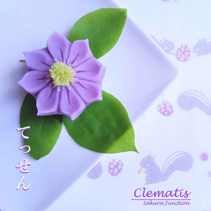 clematis20-3p